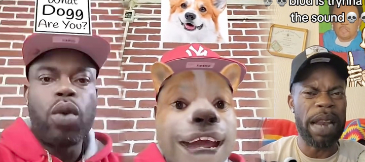 This is the Avatar Image for the 🇯🇲 Which Bomboclaat Dog I Am 🇯🇲 AI Voice and Text to Speech Generator