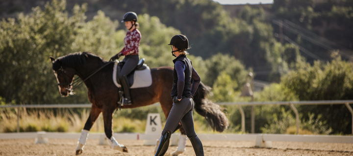 This is the Avatar Image for the Amelia Watson [Retrained] AI Voice and Text to Speech Generator