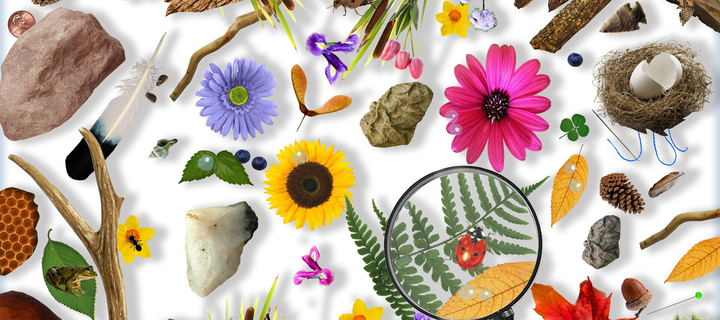 This is the Avatar Image for the Spy (My Version) AI Voice and Text to Speech Generator