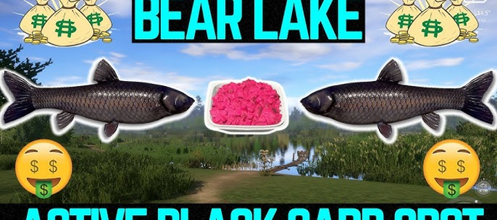 This is the Avatar Image for the Carp (Russian Youtuber) AI Voice and Text to Speech Generator