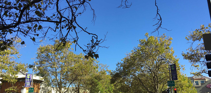 This is the Avatar Image for the Luke Shaffer The Spot Impression (The Spot Sings A Song On YouTube) AI Voice and Text to Speech Generator