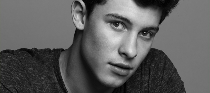 This is the Avatar Image for the Shawn Mendes 2016 (Live) (48000) AI Voice and Text to Speech Generator