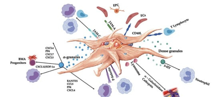 This is the Avatar Image for the Kowalski (AG: Jacek Lenartowicz) AI Voice and Text to Speech Generator