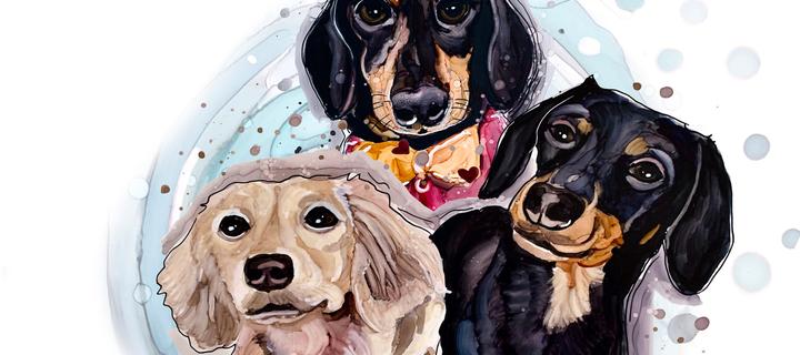 This is the Avatar Image for the Daphne (Crusoe the Dachshund) (Spanish dub) AI Voice and Text to Speech Generator