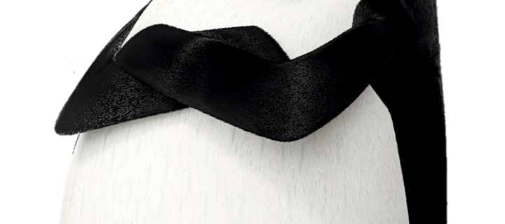 This is the Avatar Image for the Skipper [Madagascar] AI Voice and Text to Speech Generator