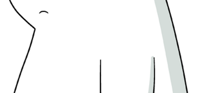 This is the Avatar Image for the Ice Bear (we bare bears) AI Voice and Text to Speech Generator