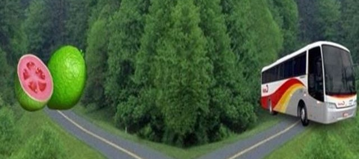 This is the Avatar Image for the Ônibus ou Goiaba? (Meme) AI Voice and Text to Speech Generator