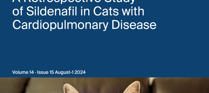 This is the Avatar Image for the Xin Zhao - Cat's Cosy Course (Drums) AI Voice and Text to Speech Generator