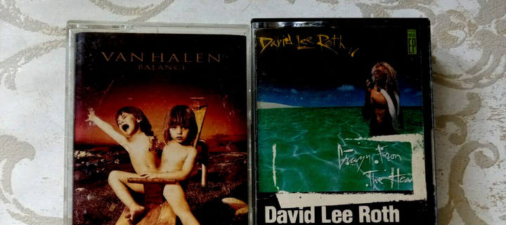 This is the Avatar Image for the David Lee Roth (Van Halen) - 32000 AI Voice and Text to Speech Generator