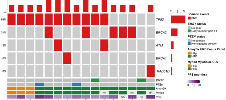 This is the Avatar Image for the MD Chefe (Ov2) AI Voice and Text to Speech Generator