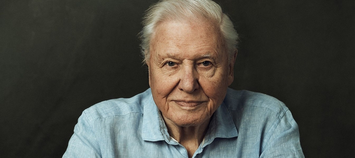 This is the Avatar Image for the David Attenborough AI Voice and Text to Speech Generator