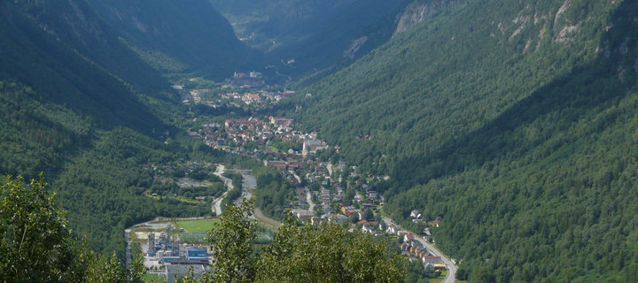 This is the Avatar Image for the Tinn AI Voice and Text to Speech Generator