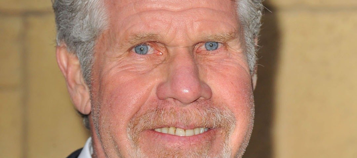 This is the Avatar Image for the The Lich/Ron Perlman - (Adventure Time) AI Voice and Text to Speech Generator