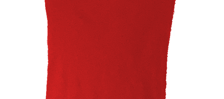 This is the Avatar Image for the ishaan (raldis crackhouse) AI Voice and Text to Speech Generator