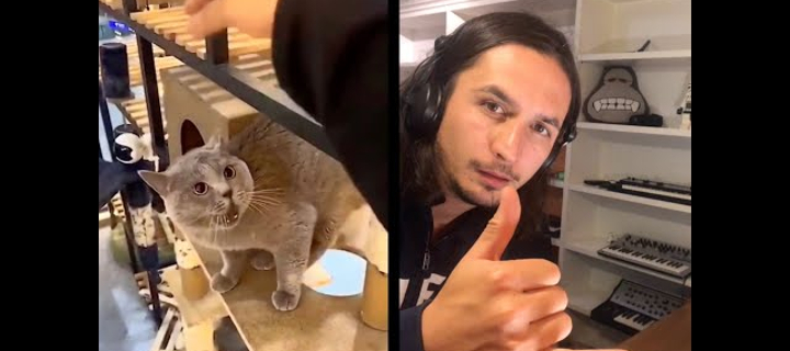 This is the Avatar Image for the alugalug cat AI Voice and Text to Speech Generator