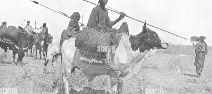 This is the Avatar Image for the Mahdi Ba (FR) AI Voice and Text to Speech Generator