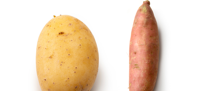 This is the Avatar Image for the Sweet AI Voice and Text to Speech Generator