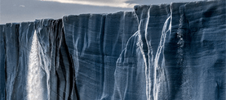 This is the Avatar Image for the Gigaton AI Voice and Text to Speech Generator