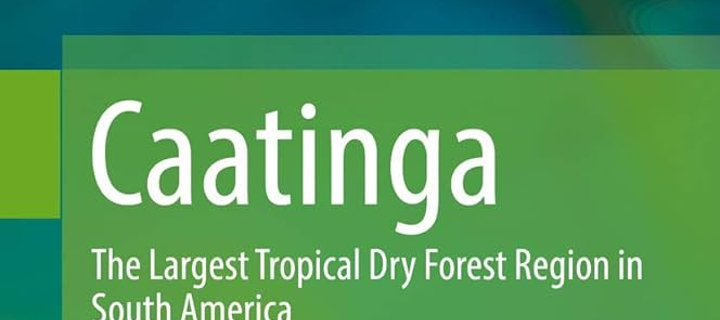 This is the Avatar Image for the Maria JosE Cardoso 1000 AI Voice and Text to Speech Generator