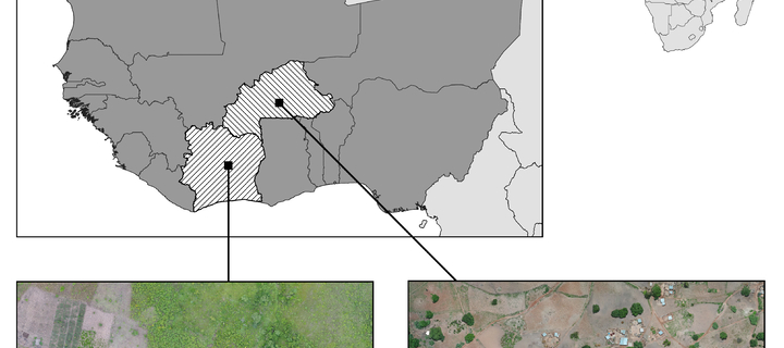 This is the Avatar Image for the Willian Bonner (150) epochs AI Voice and Text to Speech Generator