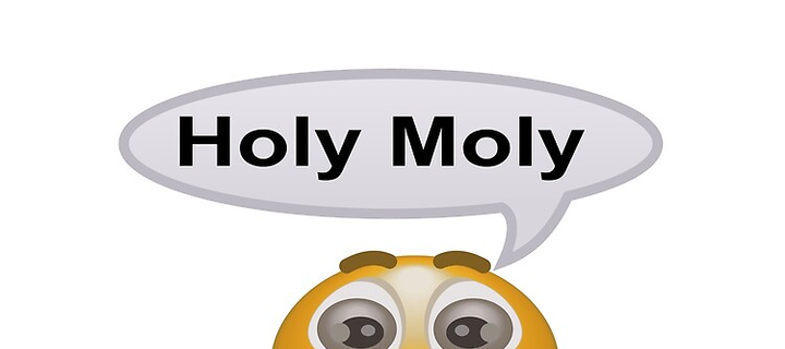 This is the Avatar Image for the Holy Moly (Meme) AI Voice and Text to Speech Generator