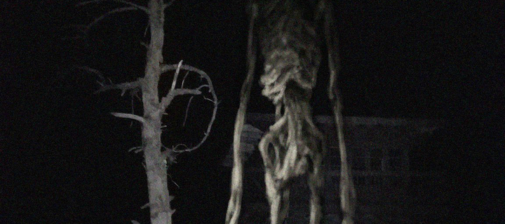 This is the Avatar Image for the Siren Head Speaking and Sound [Trevor Henderson] AI Voice and Text to Speech Generator