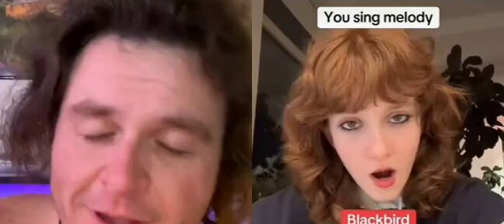 This is the Avatar Image for the TygreStripes AI Voice and Text to Speech Generator