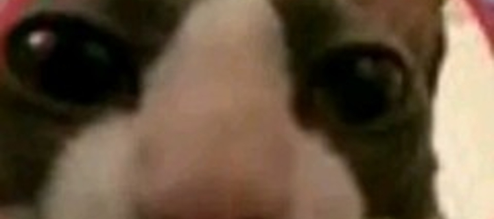 This is the Avatar Image for the Pablo Criticas AI Voice and Text to Speech Generator