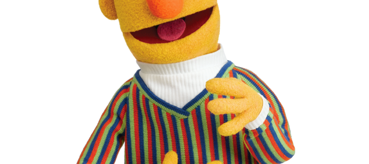 This is the Avatar Image for the Bert From Sesame Street AI Voice and Text to Speech Generator